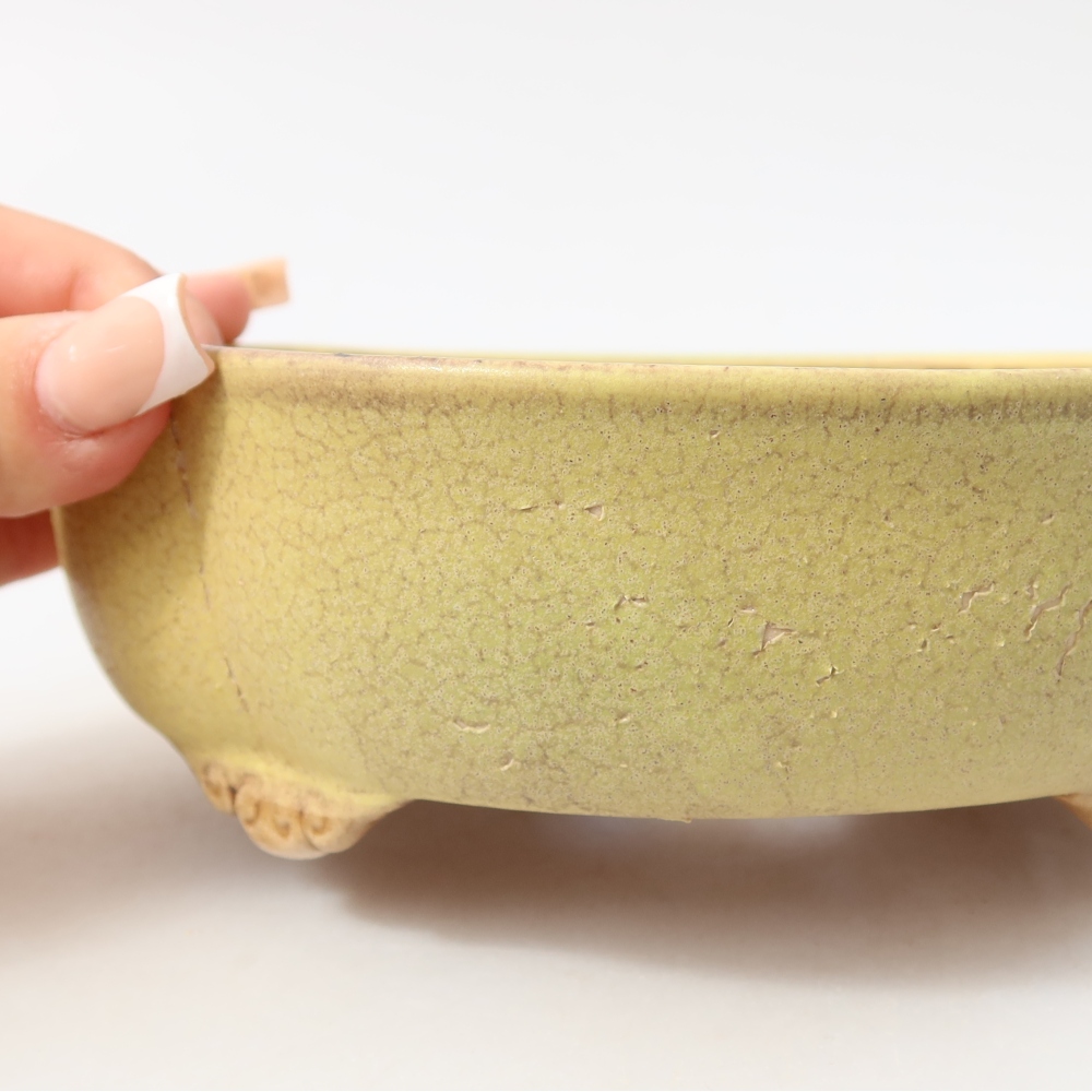 Ceramiczna miska do bonsai 17,5 x 15,5 x 5,5 cm, kolor żółty