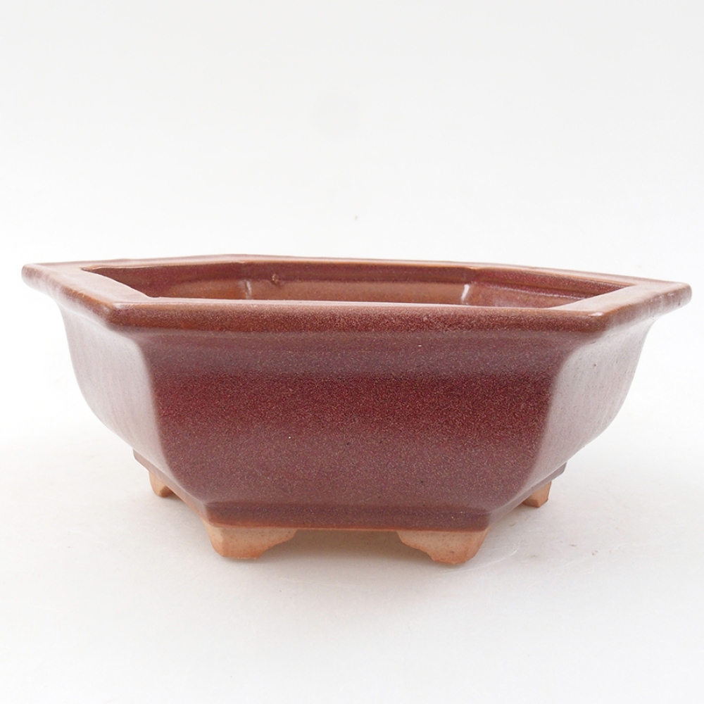 Ceramiczna miska bonsai 14 x 11 x 4 cm, kolor bordowy