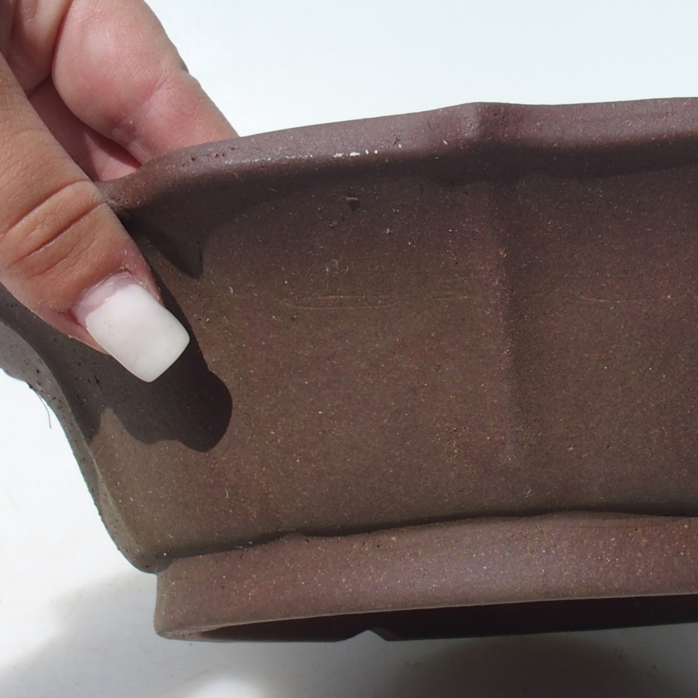 Misa bonsai 24 x 24 x 7 cm brzoza brązowa