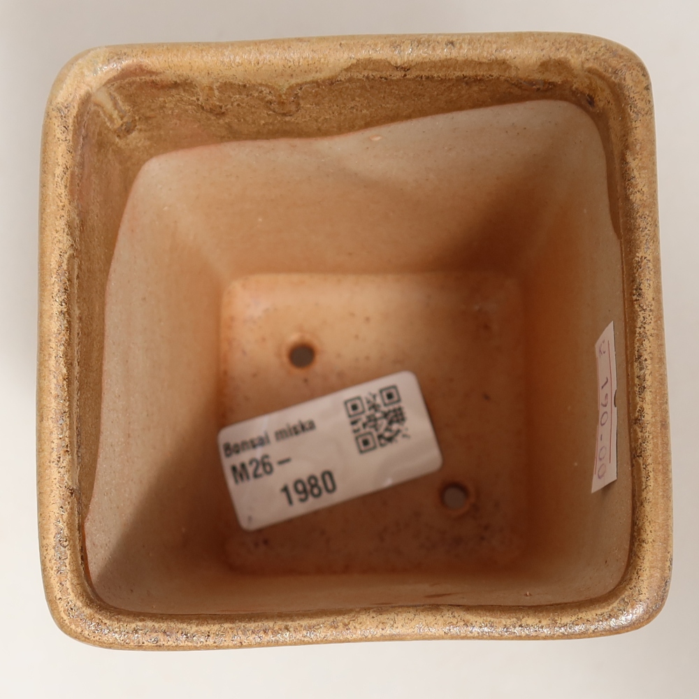 Ceramiczna miska do bonsai 7,5 x 7,5 x 10,5 cm, kolor beżowy