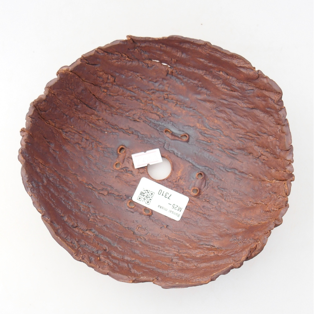 Ceramiczna skorupa 19 x 17 x 7 cm, kolor brązowy