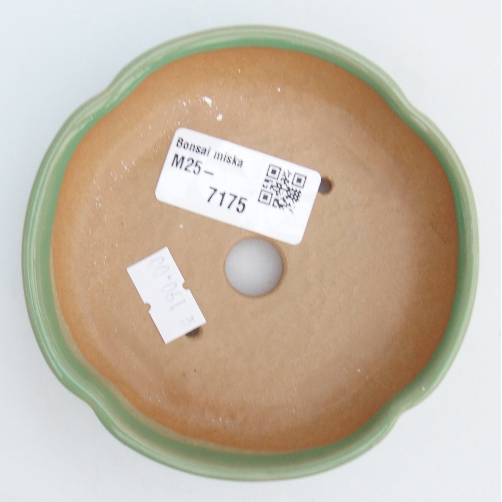 Ceramiczna miska na bonsai 11 x 11 x 3 cm, zielona