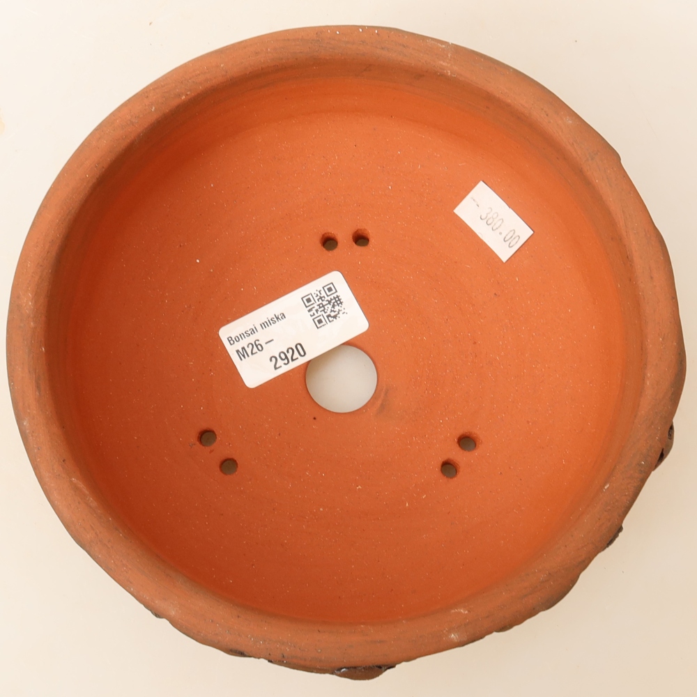Ceramiczna miska do bonsai 16,5 x 16,5 x 6 cm, brązowa