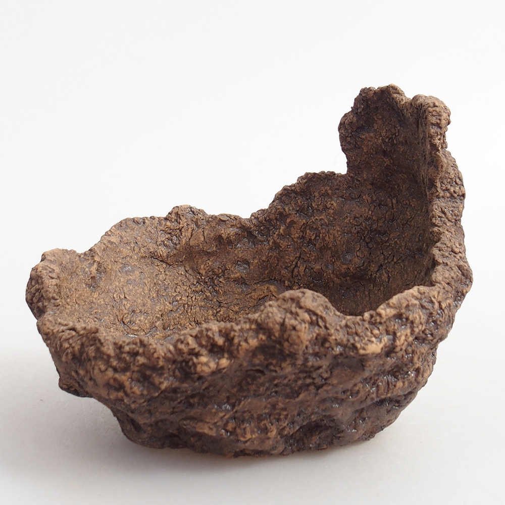 Muszla ceramiczna 10 x 8 x 9 cm, kolor brązowy