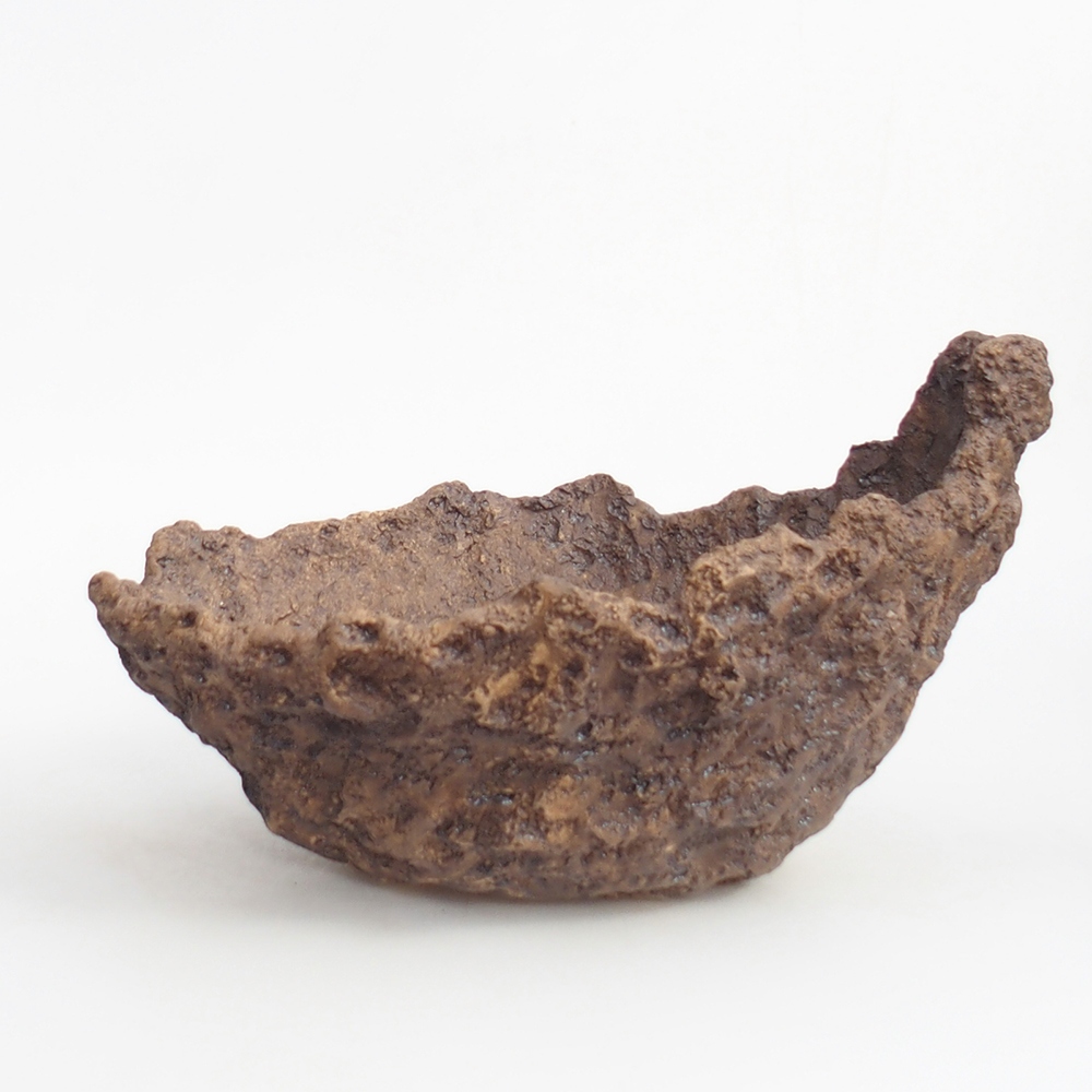 Ceramiczna skorupa 19 x 15 x 14 cm, kolor brązowy