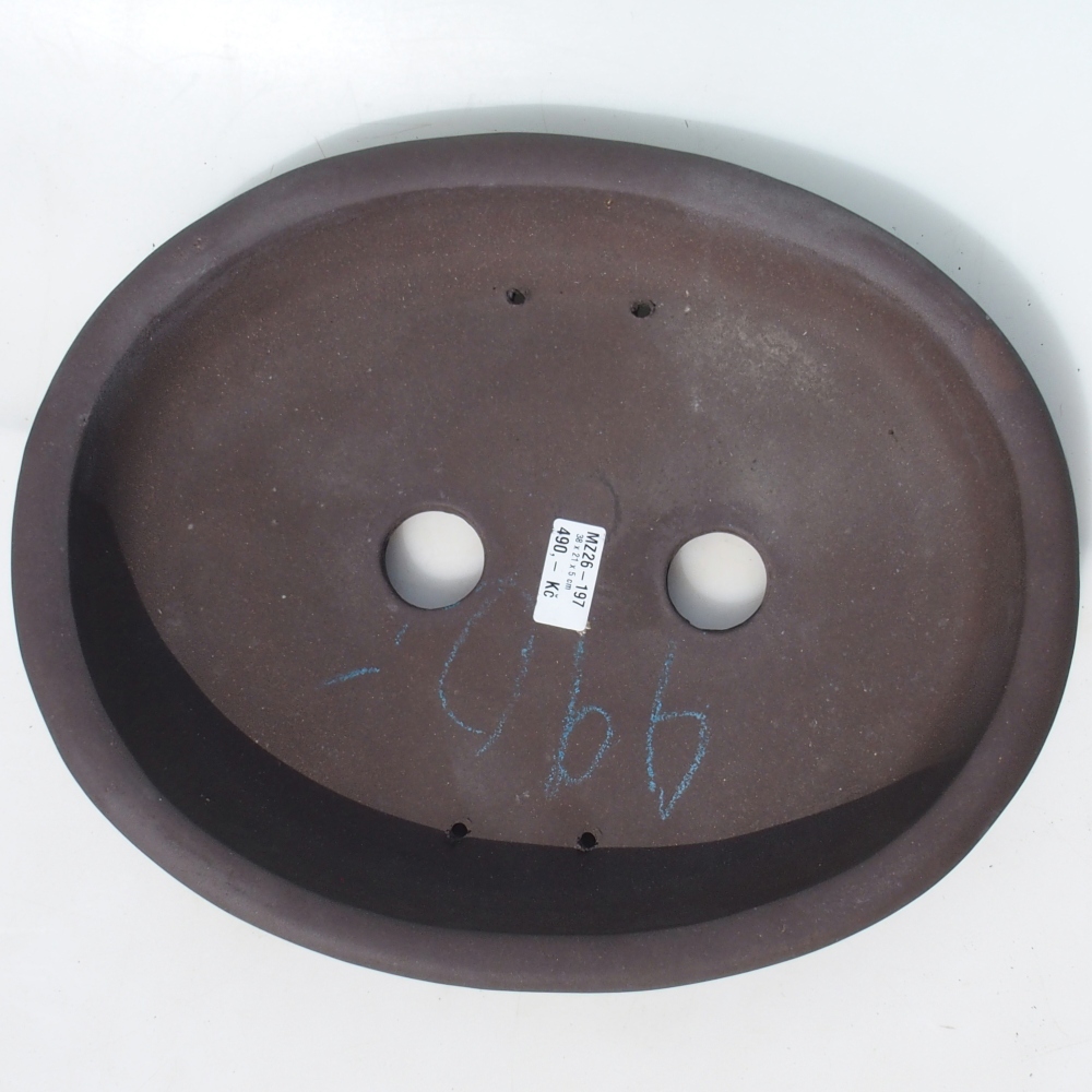 Misa bonsai 38 x 21 x 5 cm brzoza brązowa