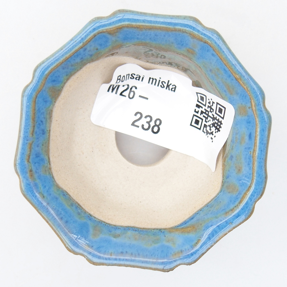 Mini miska do bonsai 6 x 6 x 2,5 cm, kolor niebieski