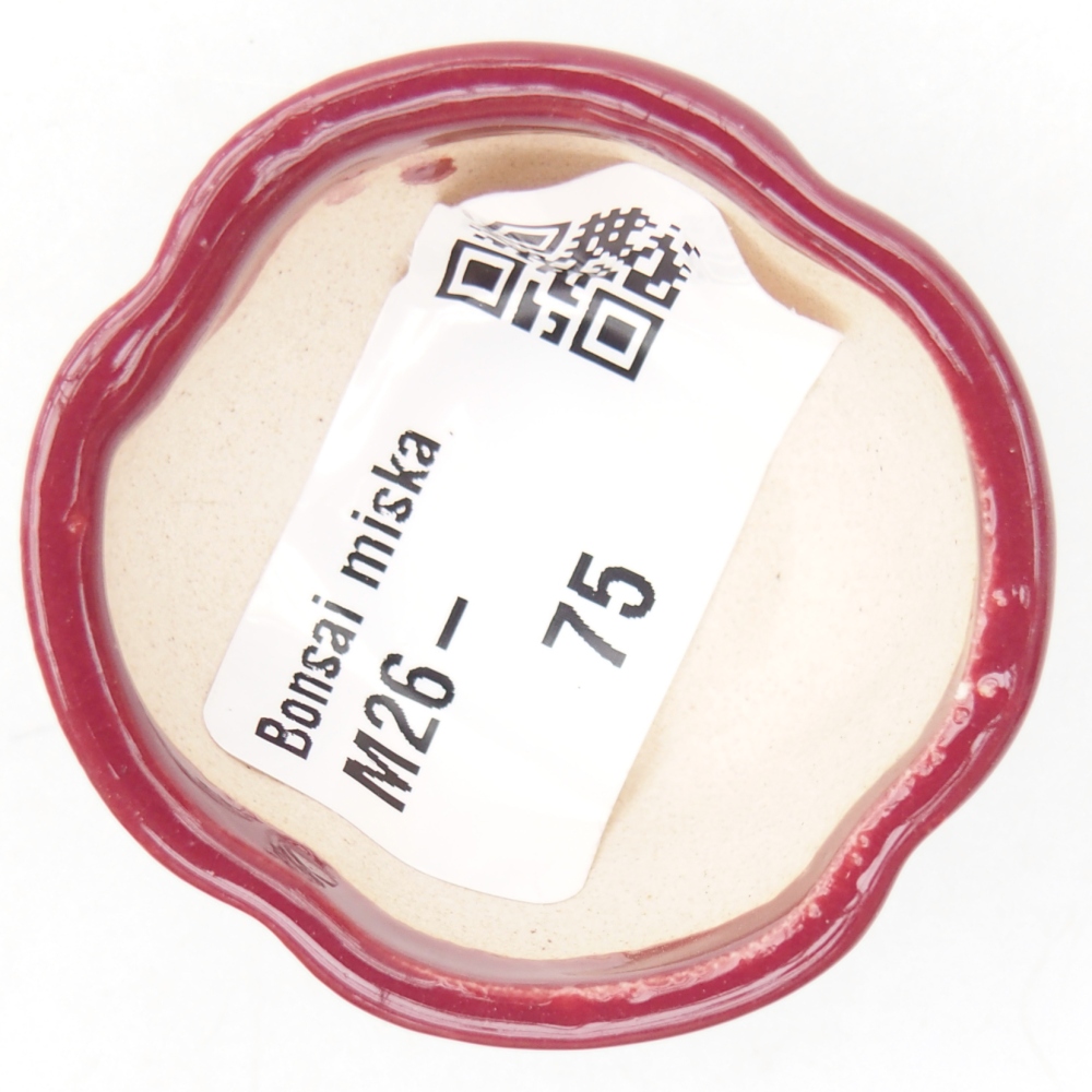 Mini miska do bonsai 4 x 4 x 2 cm, bordowa