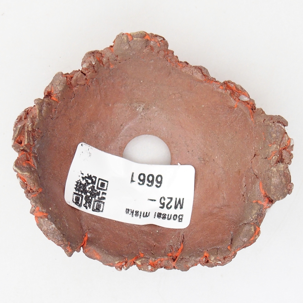 Ceramiczna muszla 7,5 x 6,5 x 3,5 cm, kolor pomarańczowy