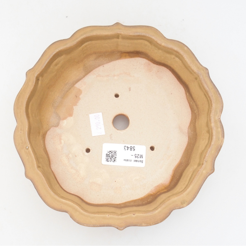 Ceramiczna miska bonsai 18 x 18 x 5 cm, kolor beżowy