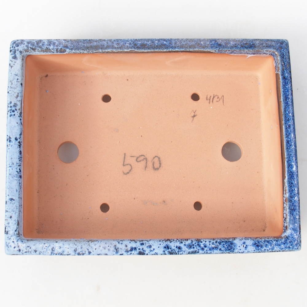 Miska 22 x 17 x 5,5 cm niebiesko-biała