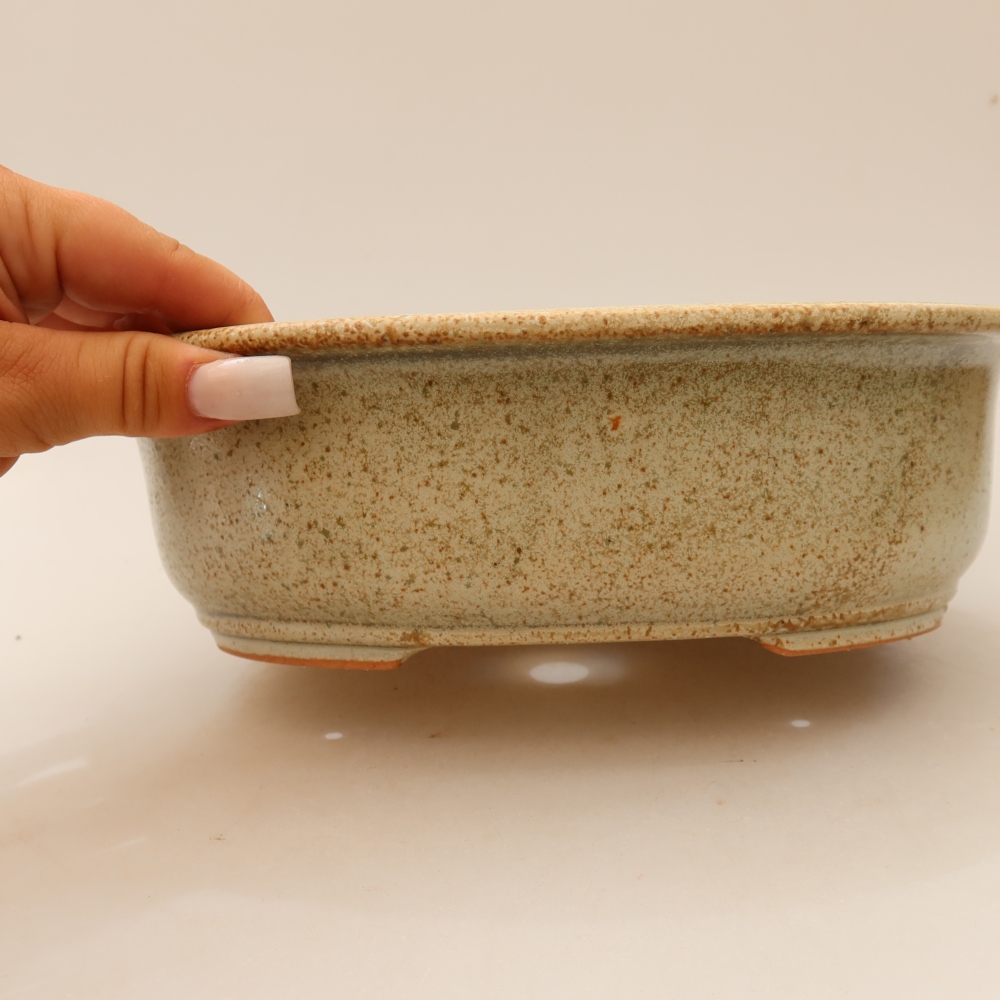 Ceramiczna miska do bonsai 23 x 19 x 8 cm, kolor beżowy
