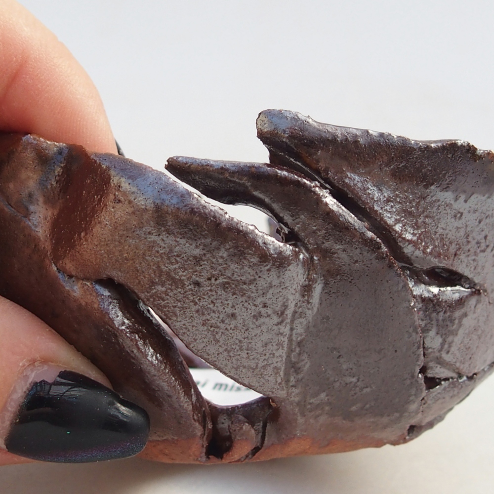 Ceramiczna muszla 8,5 x 8,5 x 4 cm, kolor brązowy