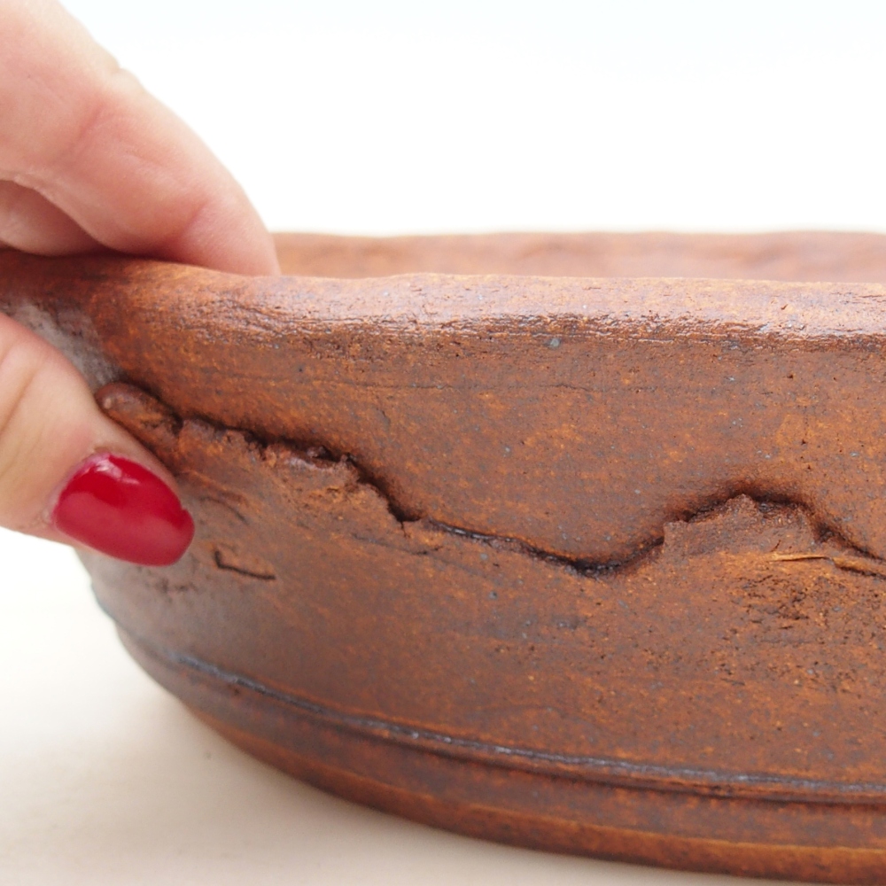 Misa bonsai 31 x 31 x 7 cm, kolor brązowy