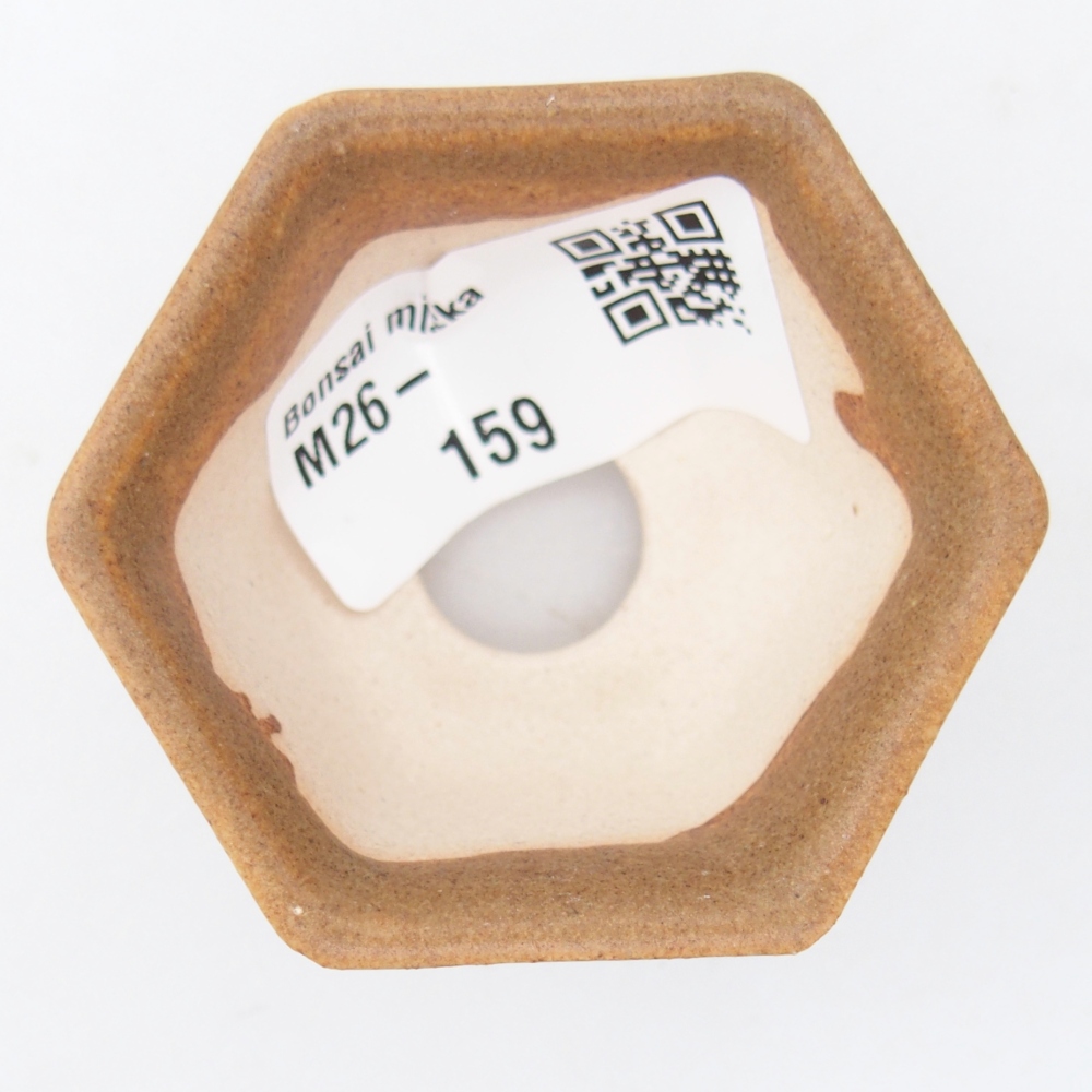 Mini miska do bonsai 5,5 x 5 x 3 cm, brązowa