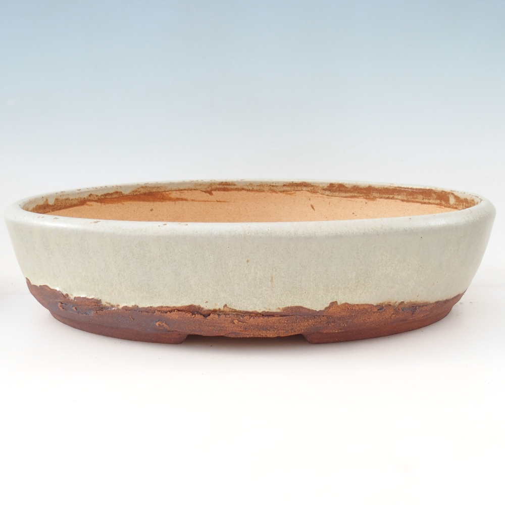 Misa do bonsai 33 x 25 x 7,5 cm, kolor beżowy
