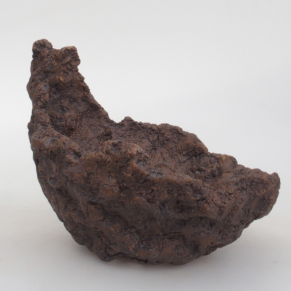 Muszla ceramiczna 13 x 10,5 x 12,5 cm, kolor brązowy