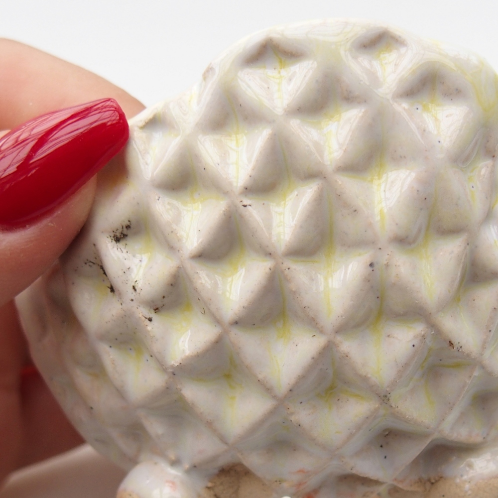 Ceramiczna muszla 8 x 8 x 5 cm, kolor zielony
