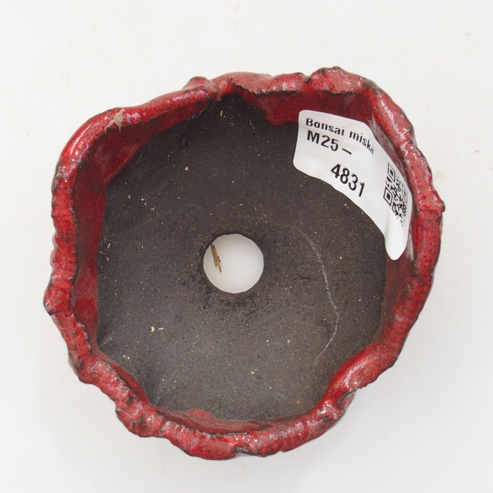 Muszla ceramiczna 8 x 7,5 x 5 cm, kolor czerwony