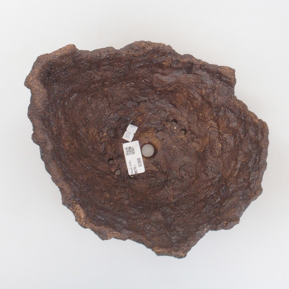 Muszla ceramiczna 22 x 19 x 20 cm, kolor brązowy