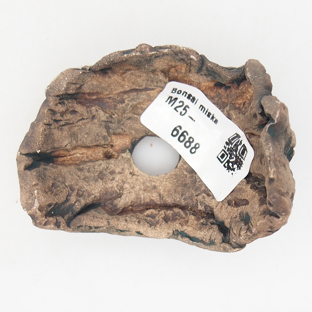 Ceramiczna muszla 6,5 x 5,5 x 6 cm, kolor zielony