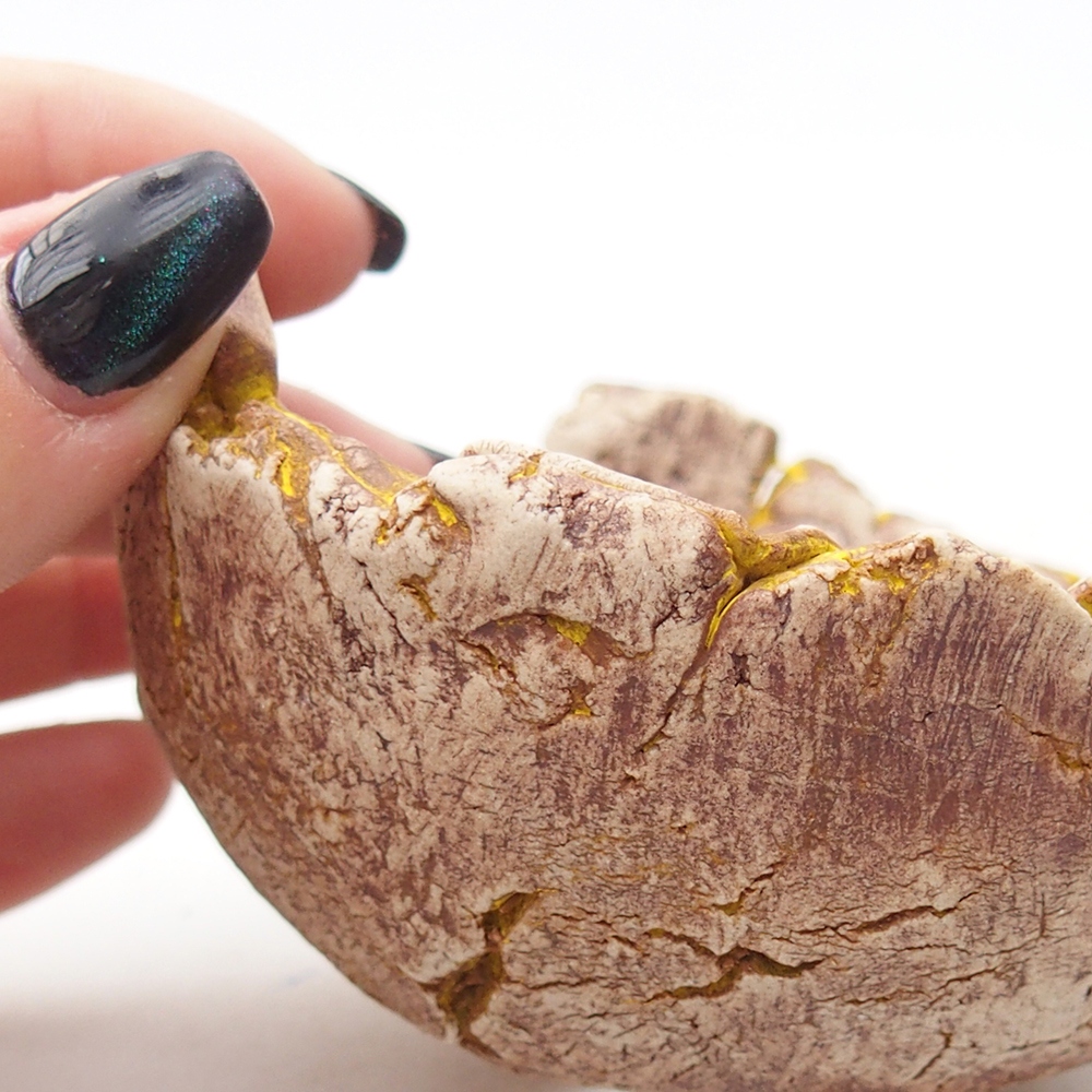 Ceramiczna muszla 9 x 9 x 5,5 cm, żółta