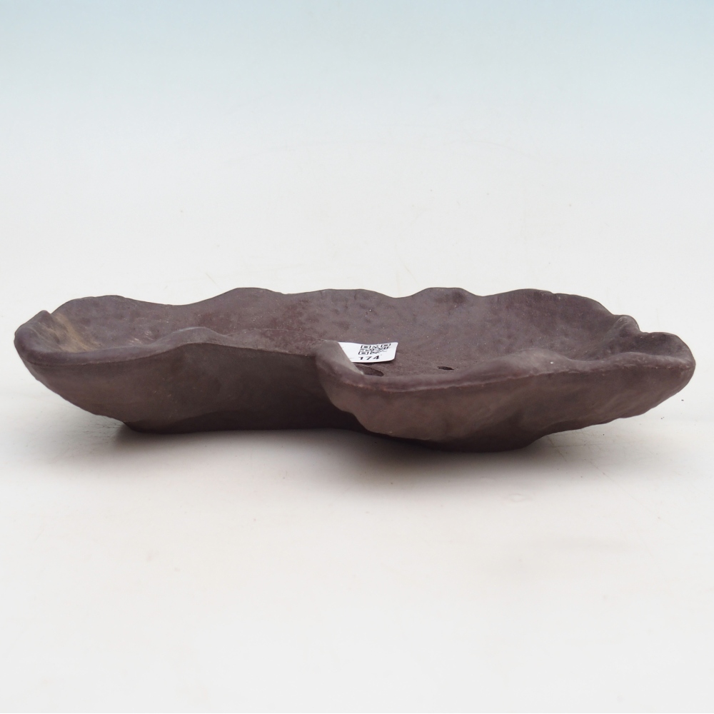 Muszla ceramiczna 19 x 13,5 x 3,5 cm, kolor brązowy