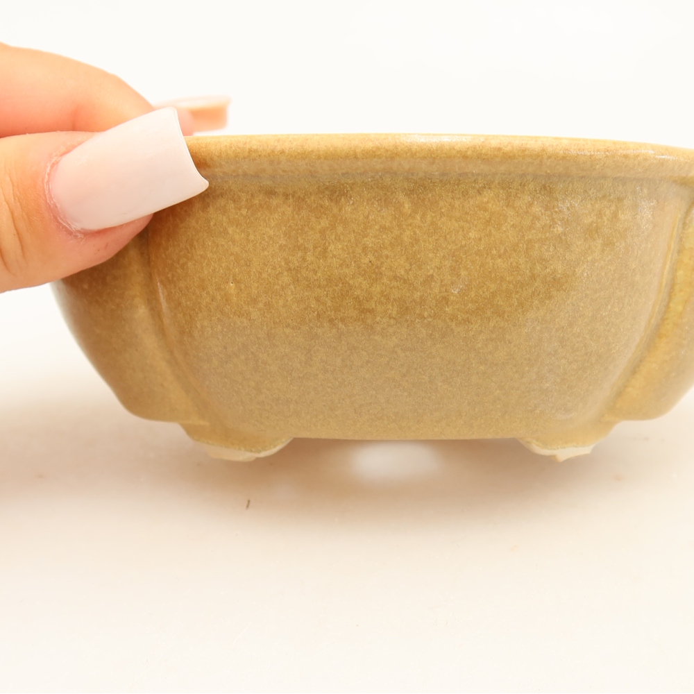 Ceramiczna miska do bonsai 12,5 x 10,5 x 4,5 cm, kolor beżowy