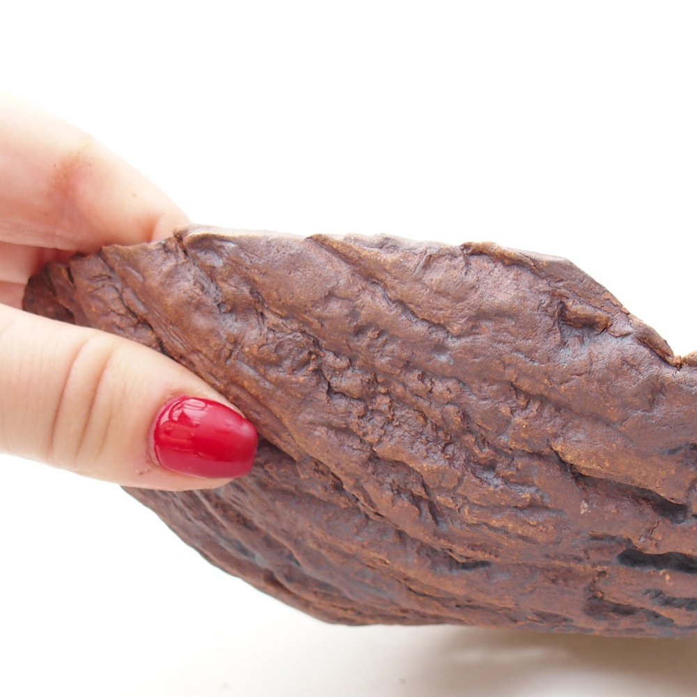 Ceramiczna skorupa 20 x 16 x 6 cm, kolor brązowy