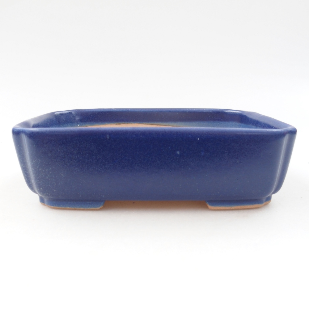 Ceramiczna miska bonsai 15 x 12 x 4,5 cm, kolor niebieski
