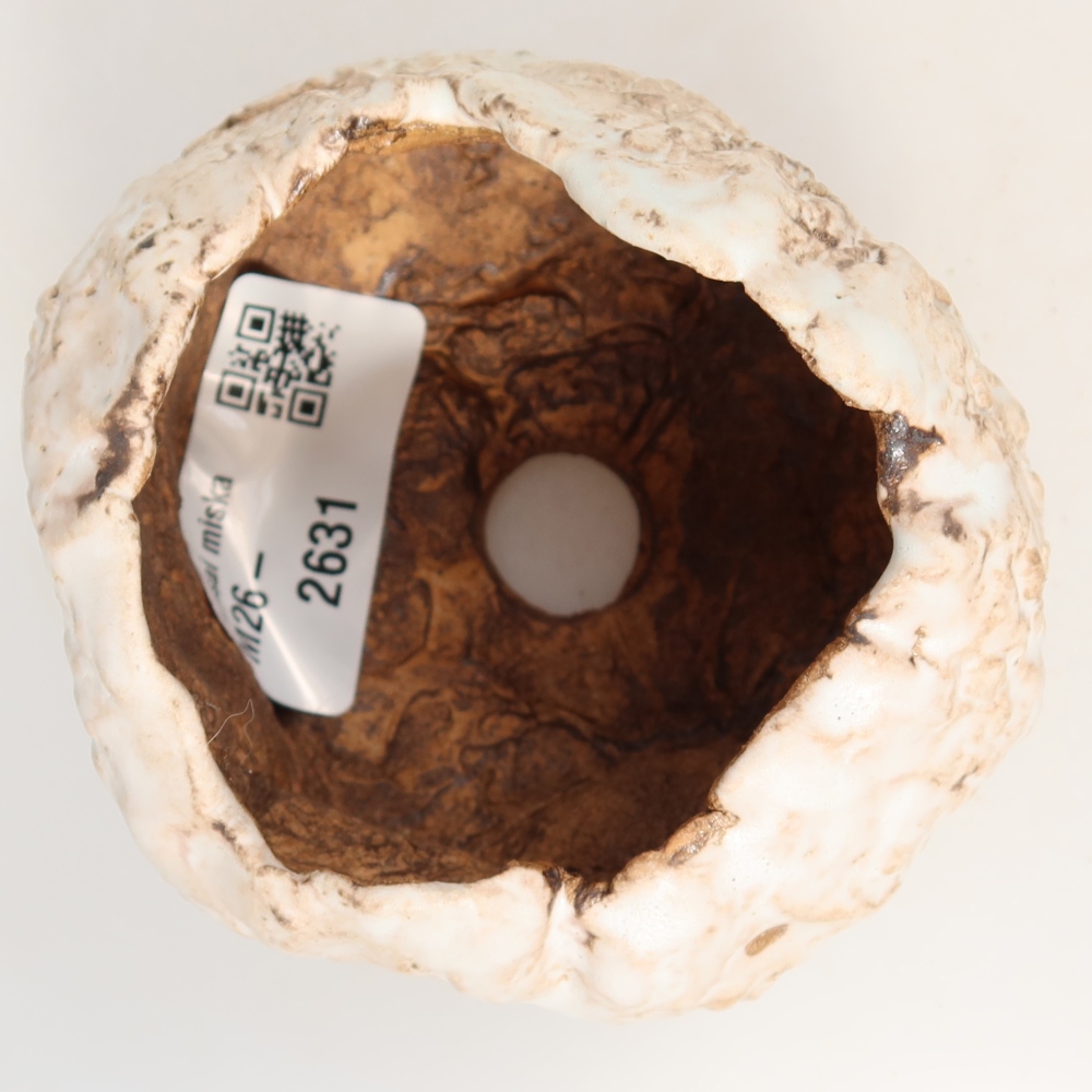 Ceramiczna skorupka  7,5 x 7 x 6 cm, kolor biały