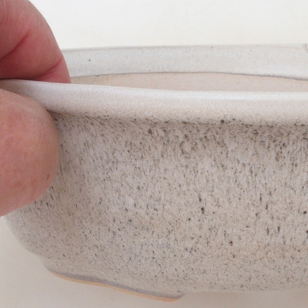 Bonsai bowl H75 - 19 x 14 x 6,5 cm. - beżowy