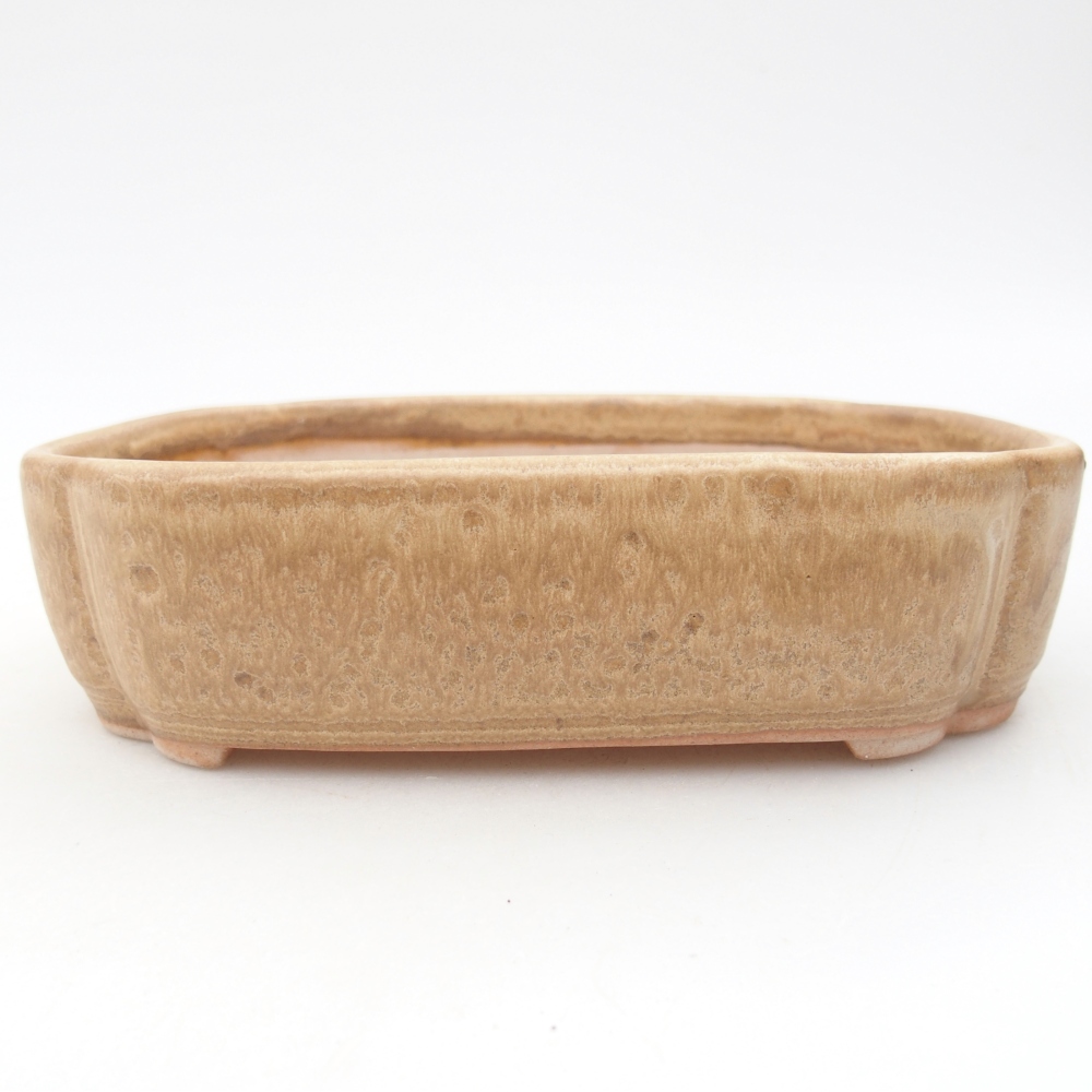 Ceramiczna miska do bonsai 15,5 x 11,5 x 4 cm, kolor beżowy