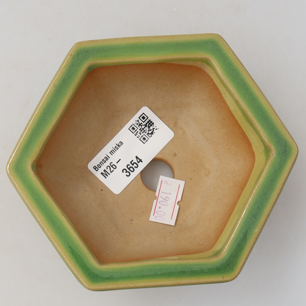 Ceramiczna miska do bonsai 12 x 10,5 x 4,5 cm, zielona