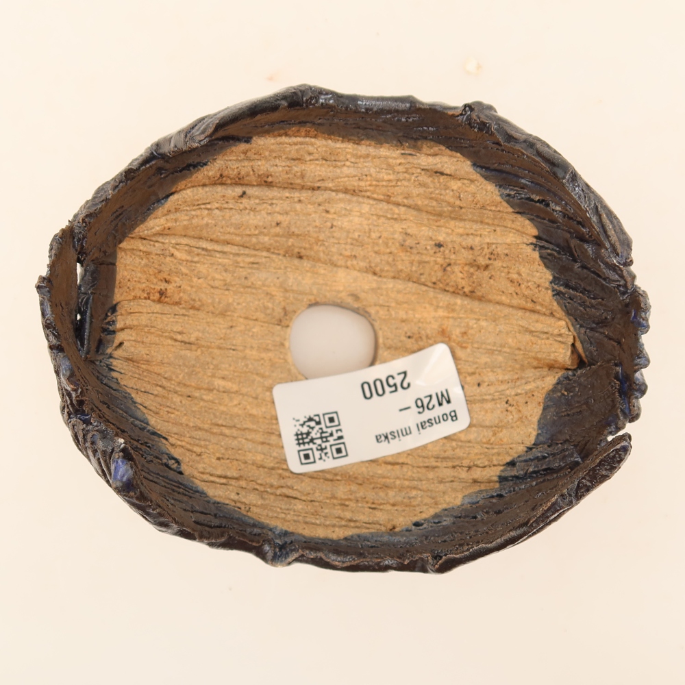 Ceramiczna skorupa  10 x 9 x 7,5 cm, kolor czarno-niebieski