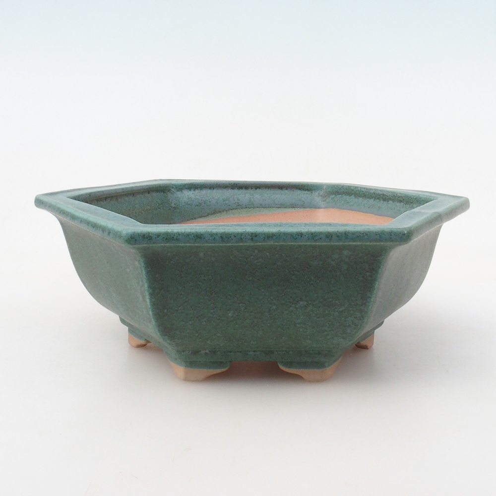 Miska do bonsai + podstawka H53 – 19 x 21,5 x 7 cm. – zielona