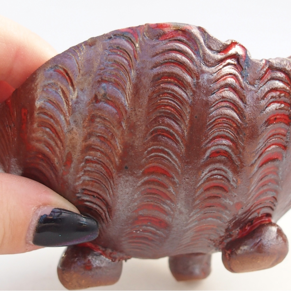 Ceramiczna muszla 10 x 10 x 8 cm, kolor brązowy