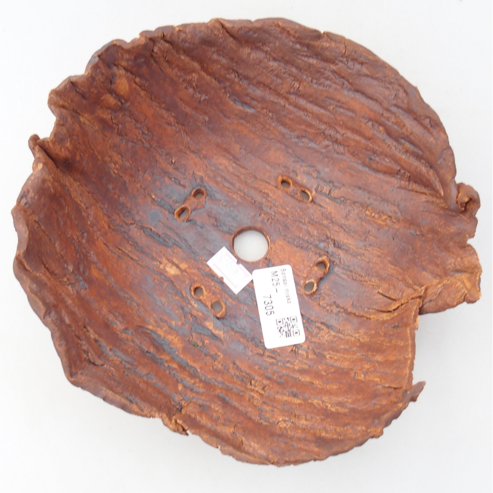 Ceramiczna muszla 20 x 20 x 8 cm, kolor brązowy