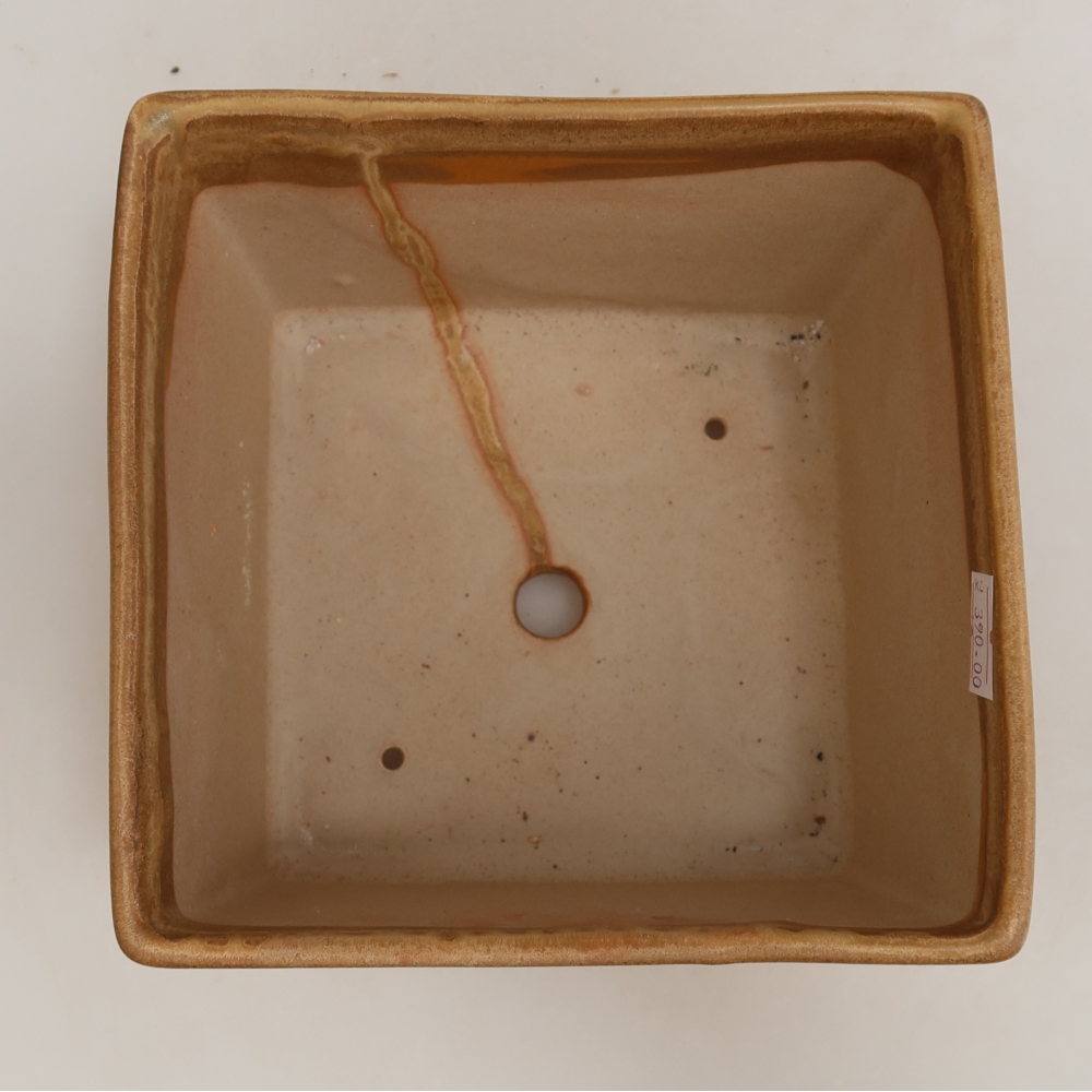 Ceramiczna miska do bonsai 15 x 15 x 10,5 cm, kolor beżowy
