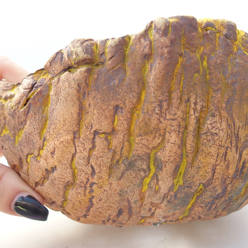 Ceramiczna skorupa 16 x 15 x 8,5 cm, kolor żółty