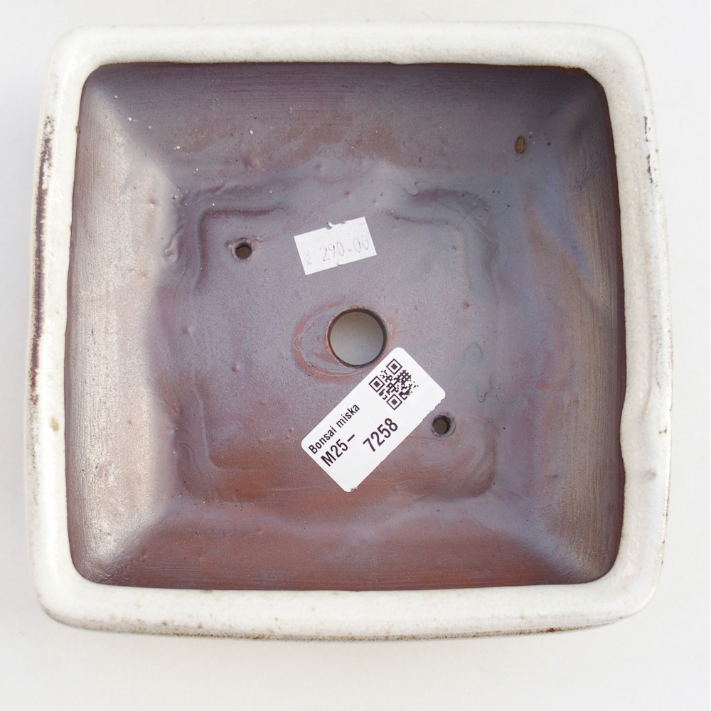 Ceramiczna miska do bonsai 15,5 x 15,5 x 6 cm, biała