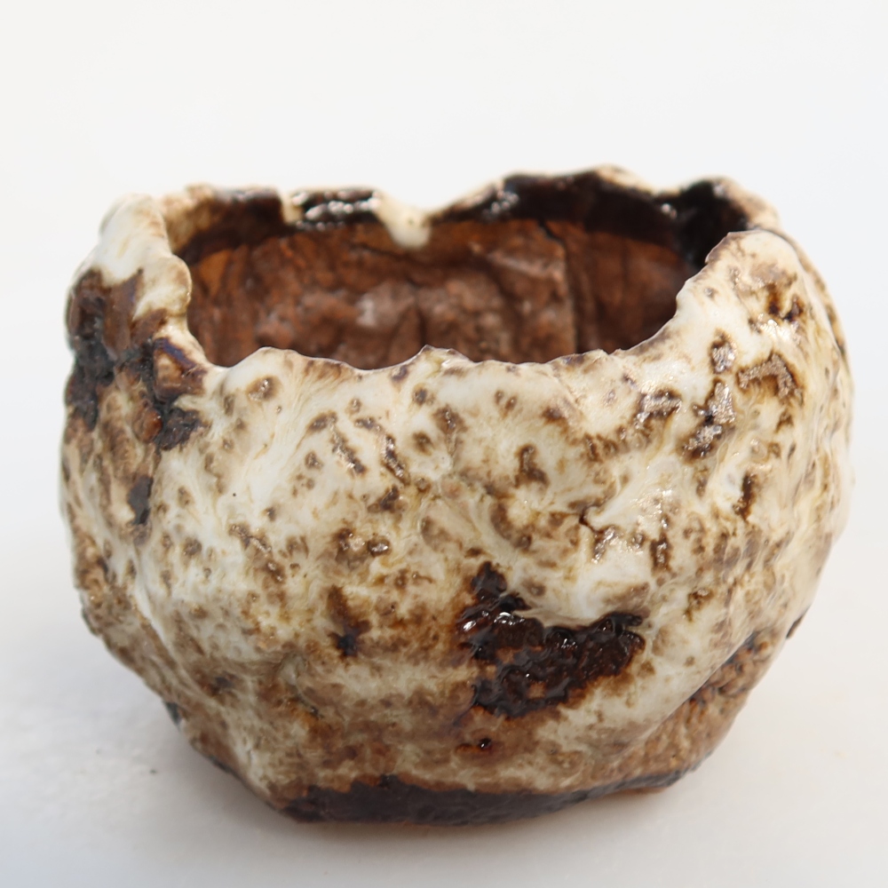 Ceramiczna skorupa  7,5 x 7 x 5,5 cm, kolor biało-brązowy