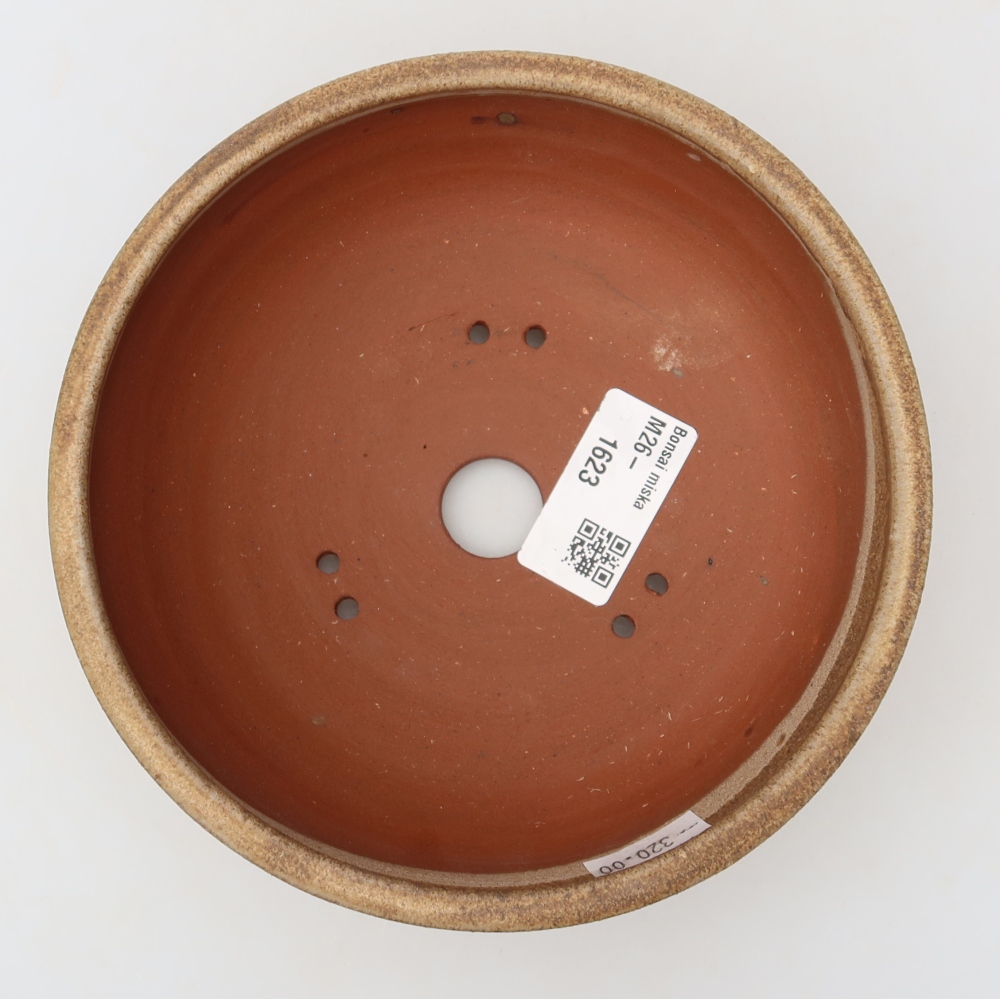 Ceramiczna miska do bonsai 15 x 15 x 5 cm, brązowa