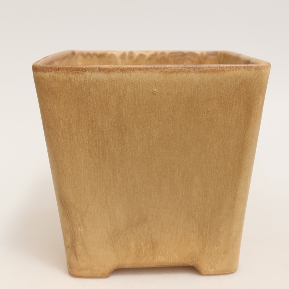 Ceramiczna miska do bonsai 13 x 13 x 13,5 cm, kolor beżowy