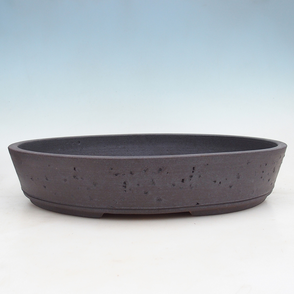 Misa bonsai 39 x 31,5 x 7,5 cm, kolor brązowy