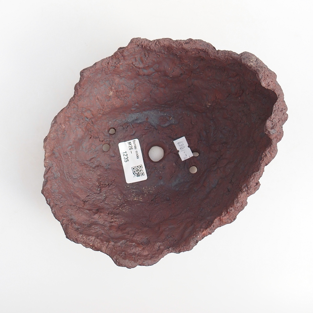 Ceramiczna skorupa 19 x 15 x 14 cm, kolor brązowy