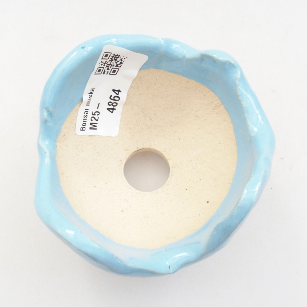 Muszla ceramiczna 7 x 7 x 6 cm, kolor niebieski