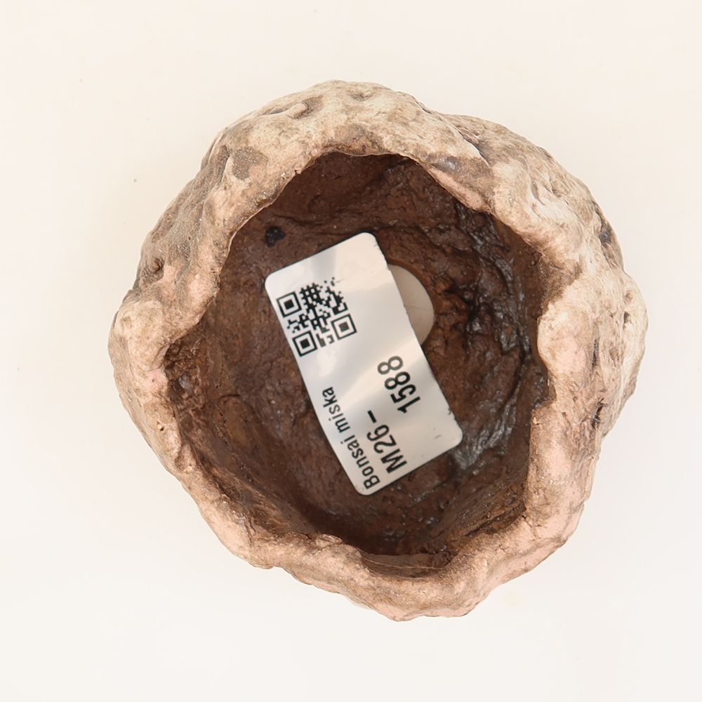 Ceramiczna skorupka  5,5 x 5 x 5 cm, kolor różowy