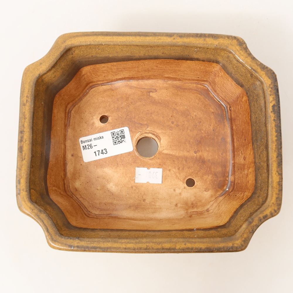 Ceramiczna miska do bonsai 18 x 15 x 6 cm, kolor brązowy