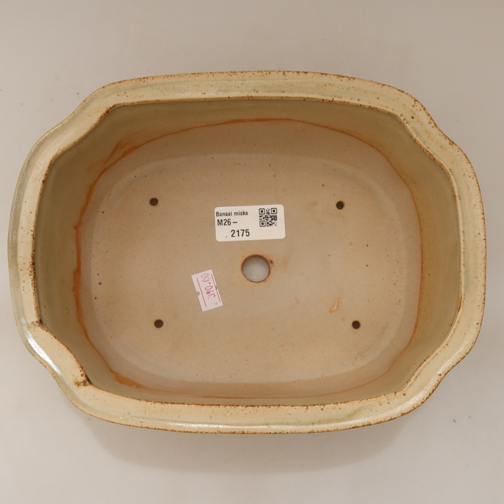 Ceramiczna miska do bonsai 22,5 x 17,5 x 7,5 cm, kolor beżowy